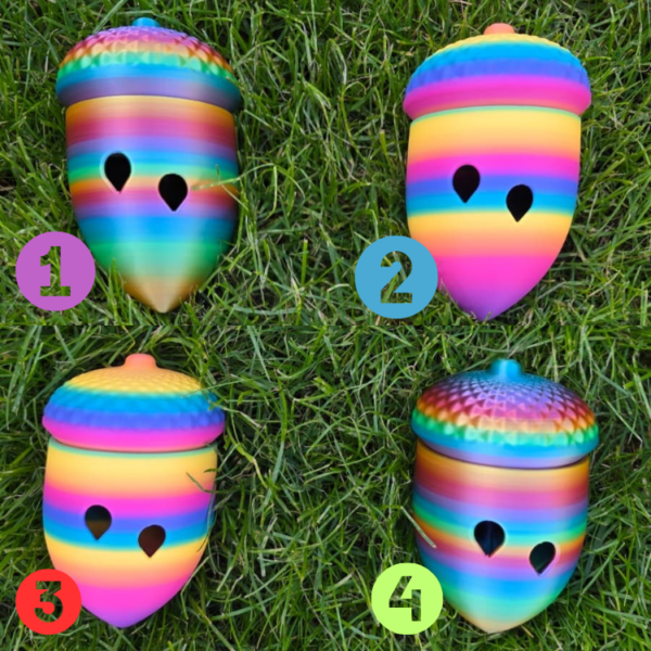 Regenboog eikels Limited edition: regenboog nutcracker